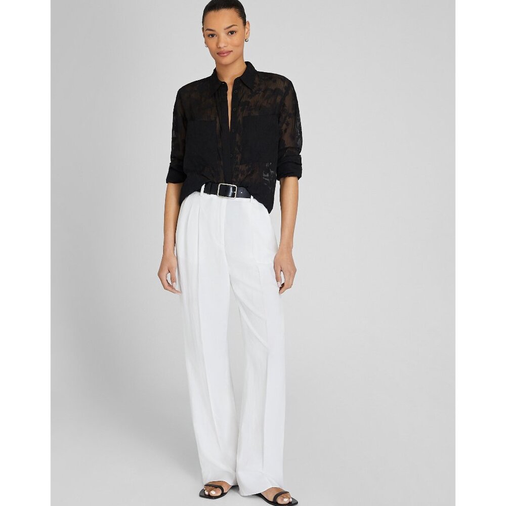Club Monaco Sheer Button-down Blouse